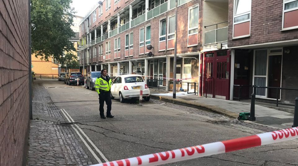  Police on the scene in Munster Square, Camden, North West London, after a teen was stabbed to death