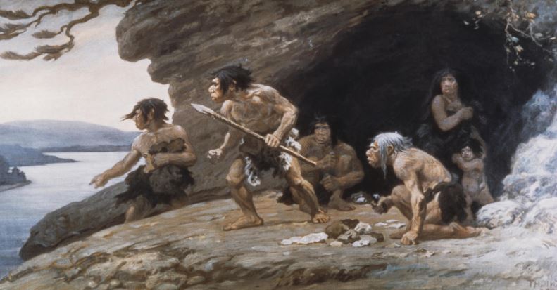 Neanderthals are thought to have eaten fish very often