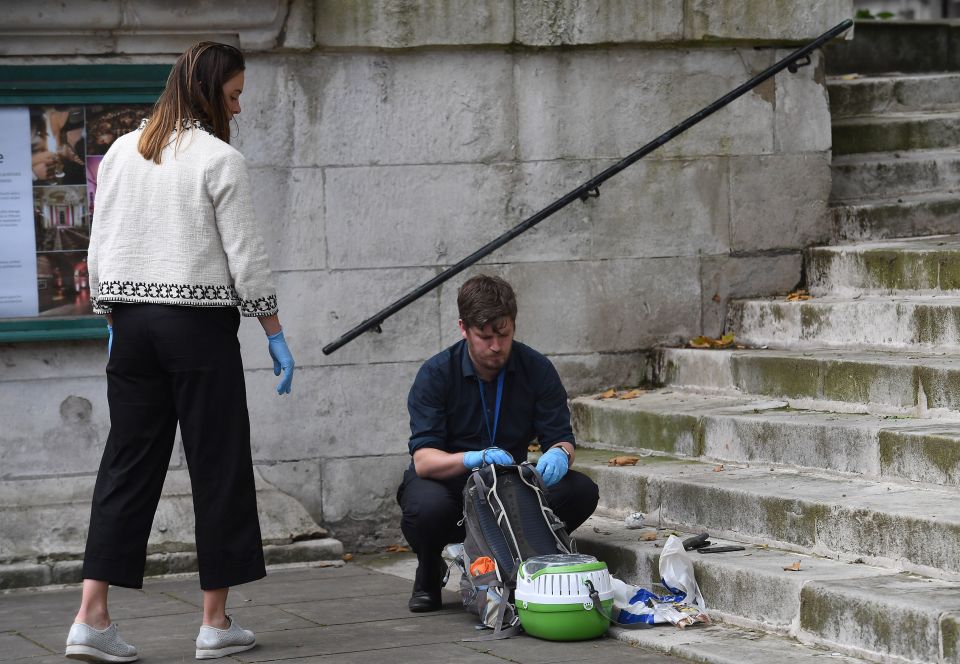 Witnesses claimed the suspect was arrested outside St John's church in Westminster