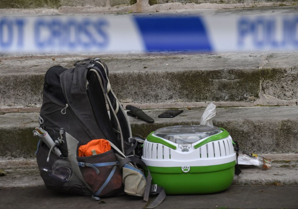 The Home Office knifing suspect sat at the church's steps after the attack as his backpack and a pet box with a ferret inside are cordoned off by police