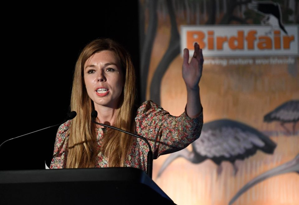  Carrie railed against trophy hunters after seeing pictures of slaughtered puffins