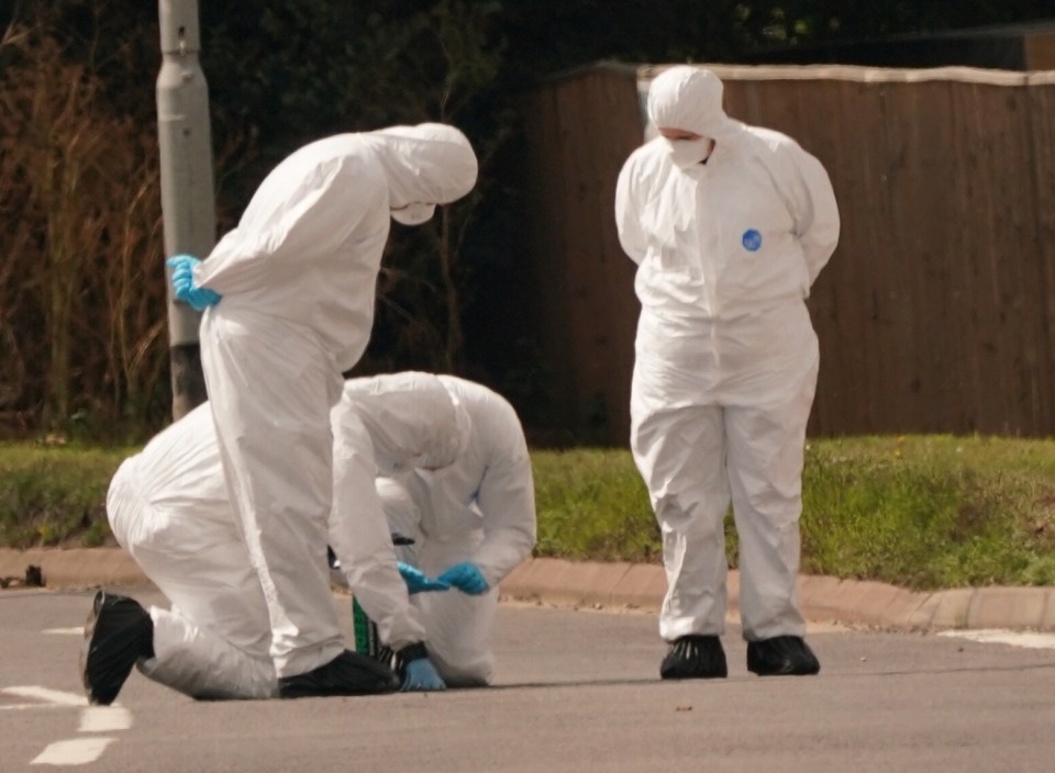 Forensics are combing the area after police extended the custody of those detained for another 24 hours