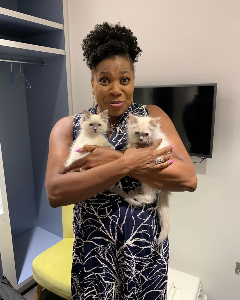  Brenda bought two kittens that featured on the show earlier this month