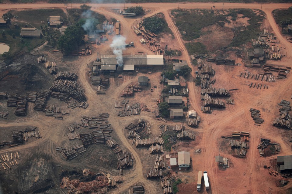  An aerial view of logs illegally cut from Amazon rainforest are seen in sawmills