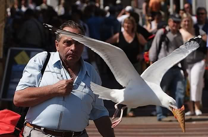  A tourist is the sorry victim of a cone artist