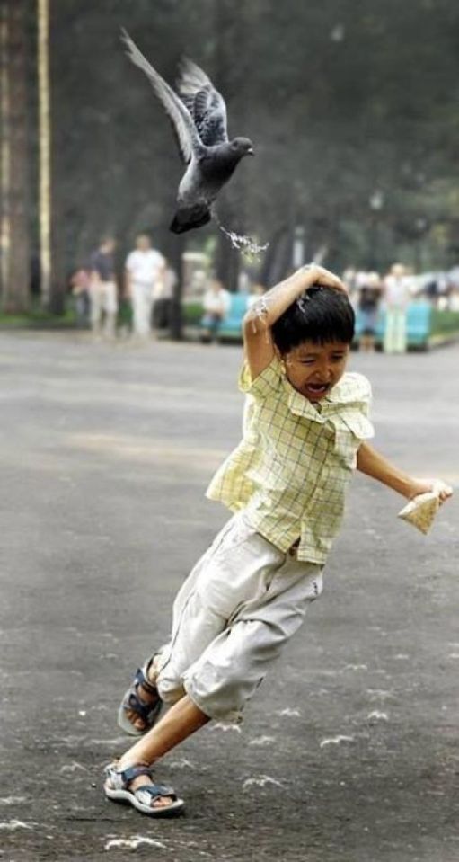  Look, he even has seed in his hand, he was just trying to feed the pigeons - despicable