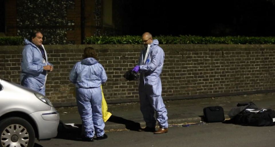  A murder probe has been launched after a man was killed in Southall