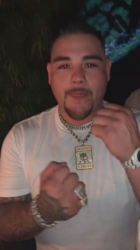  Andy Ruiz celebrated his 30th birthday with a lavish white party