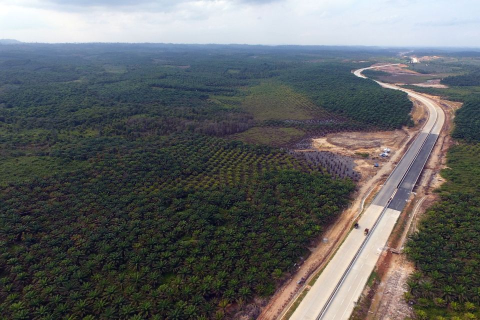  The new capital city is located on the island of Borneo, a province of East Kalimantan