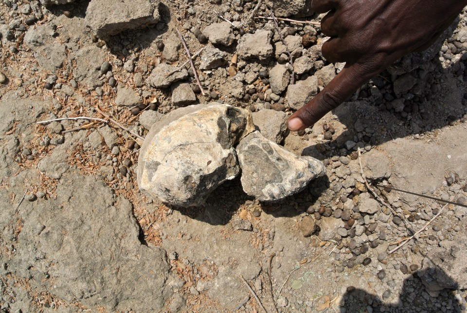  The skull was found in Ethiopia at a place known as Miro Dora