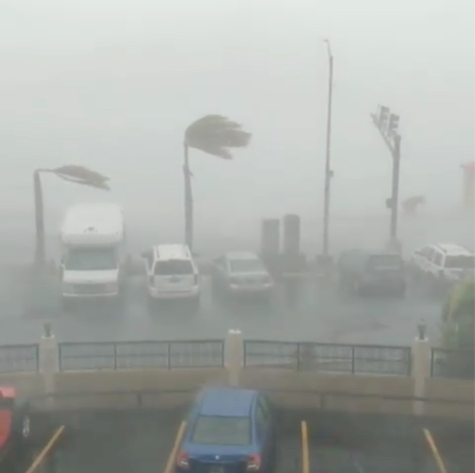  Palm trees were bent over as Hurricane Dorian struck St Thomas in the US Virgin Islands