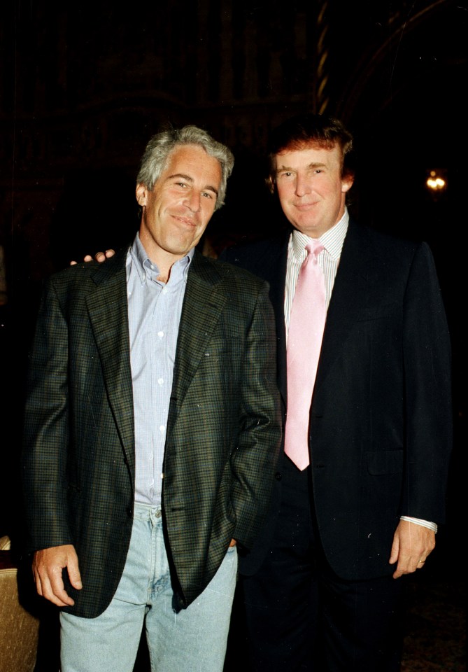  Jeffrey Epstein was friends with a number of wealthy and powerful people - seen here with Donald Trump in 1997