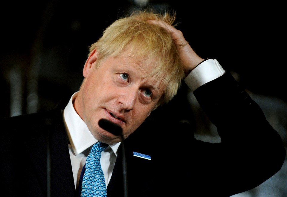  Young said he disagreed with Boris Johnson's decision to prorogue Parliament