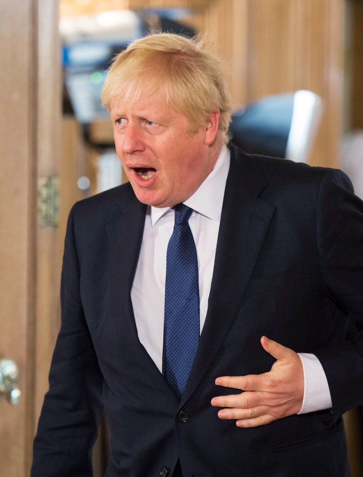  Prime Minister Boris Johnson has vowed to take Britain out of the European Union on October 31 do or die”