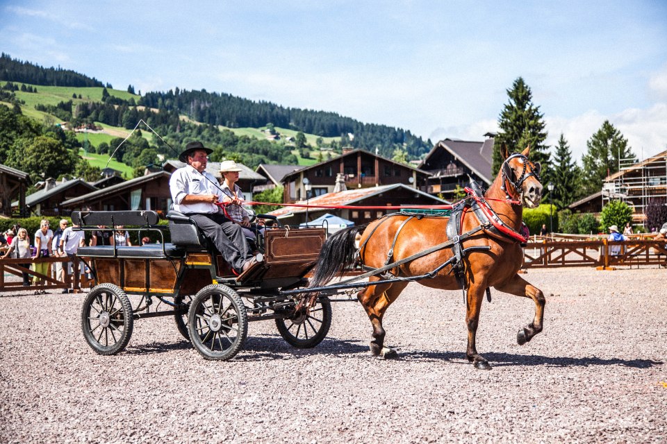  Take horseback safaris to the summit of Mont d’Arbois to admire the spectacular sunset while hardcore thrillseekers could have a go at paragliding, para-chuting, canyoning and rafting