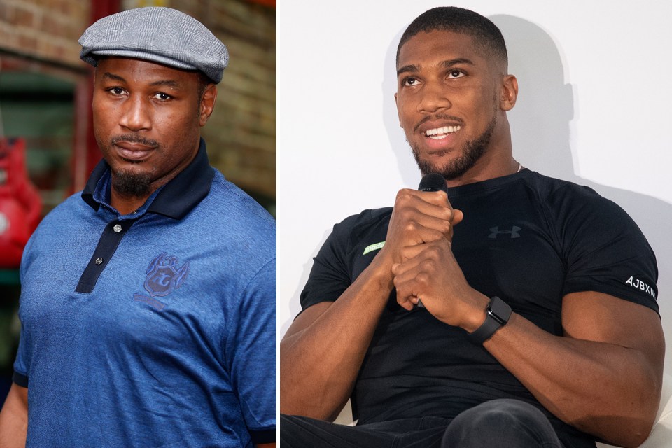  Anthony Joshua has called Lennox Lewis a 'clown' after criticism following his loss to Andy Ruiz Jr