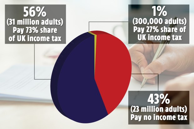 How many people pay income tax