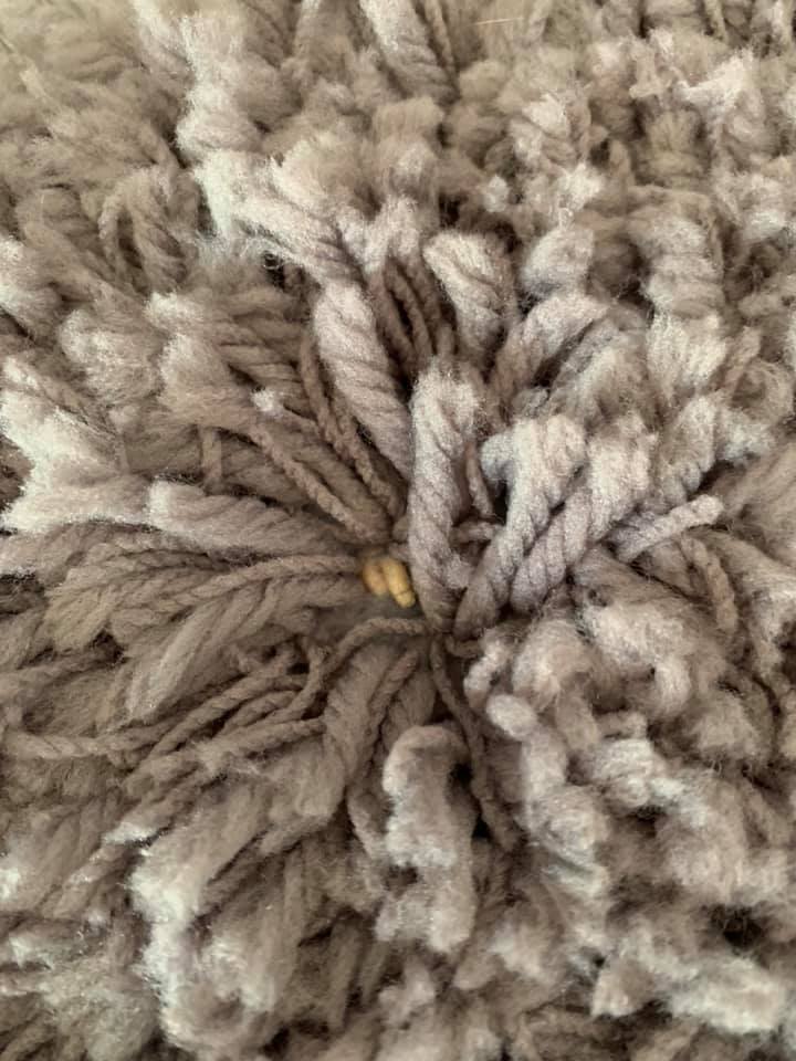 A mum was left shocked after claiming to have found live maggots in her £30 B&M rug