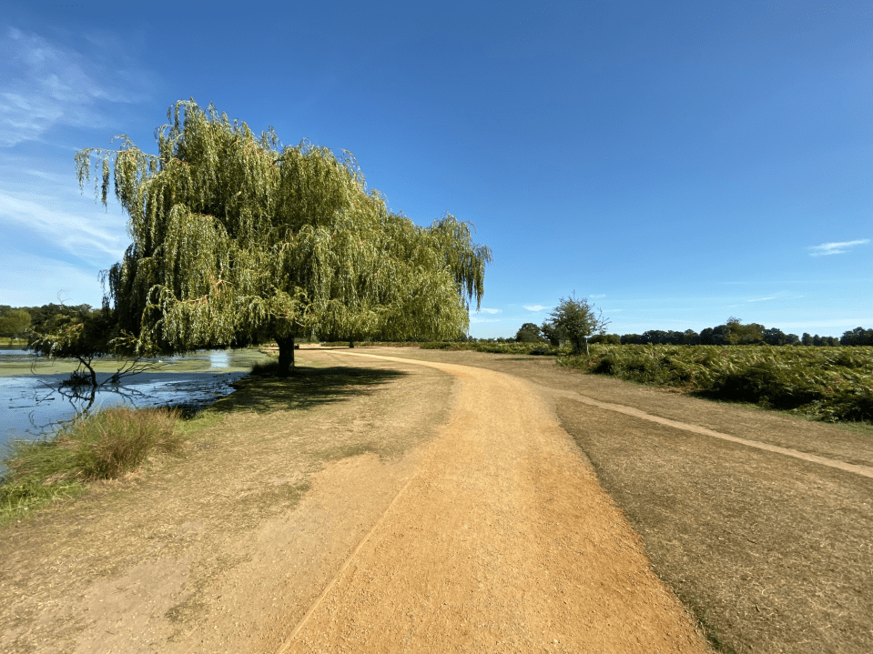  The Ultra Wide lens allows much more of a scene to be captured