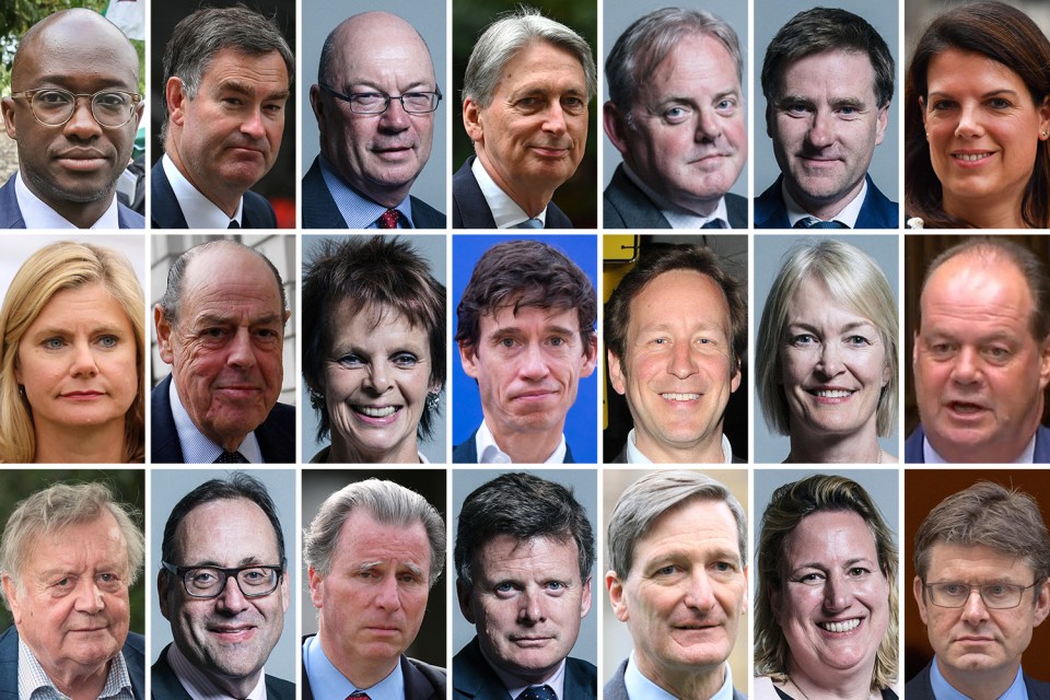  From top left: Sam Gyimah, David Gauke, Alistair Burt, Philip Hammond, Guto Bebb, Steve Brine, Caroline Nokes; Justine Greening, Sir Nicholas Soames, Anne Milton, Rory Stewart, Ed Vaizey, Margot James, Stephen Hammond; Ken Clarke, Richard Harrington, Sir Oliver Letwin, Richard Benyon, Dominic Grieve, Antoinette Sandbach, Greg Clark