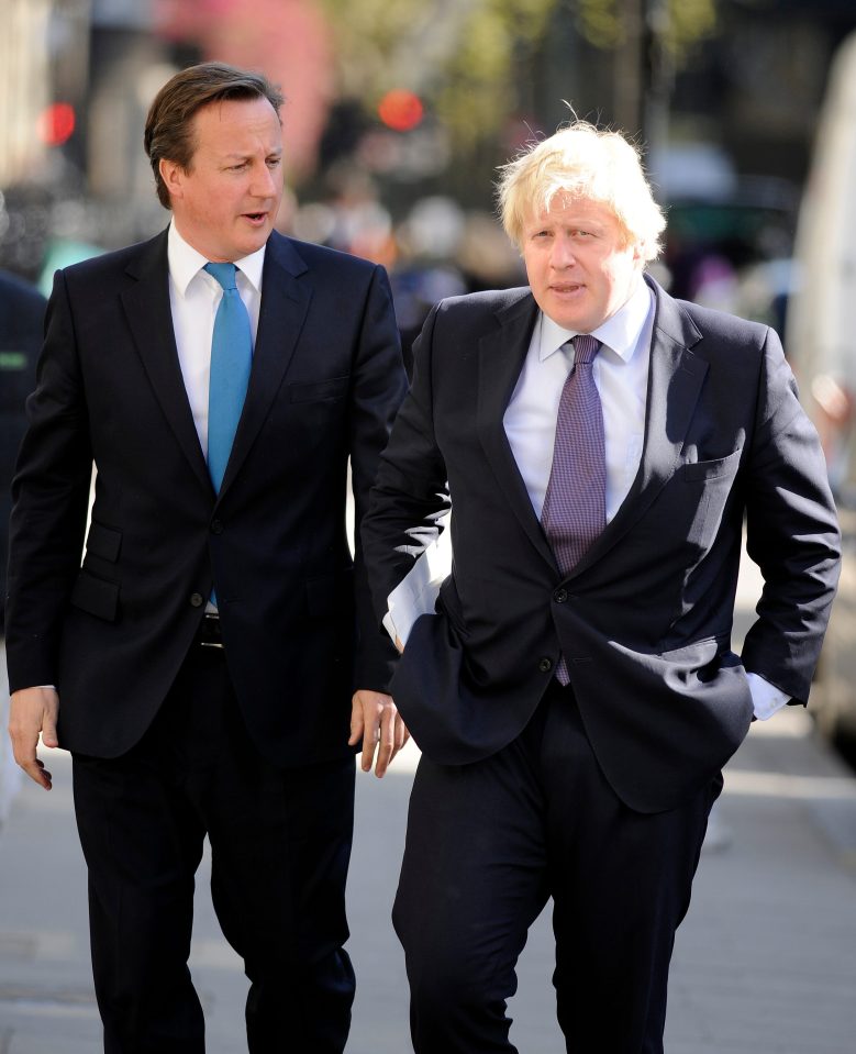  Former Prime Minister David Cameron and Boris Johnson shortly after the 2016 EU referendum