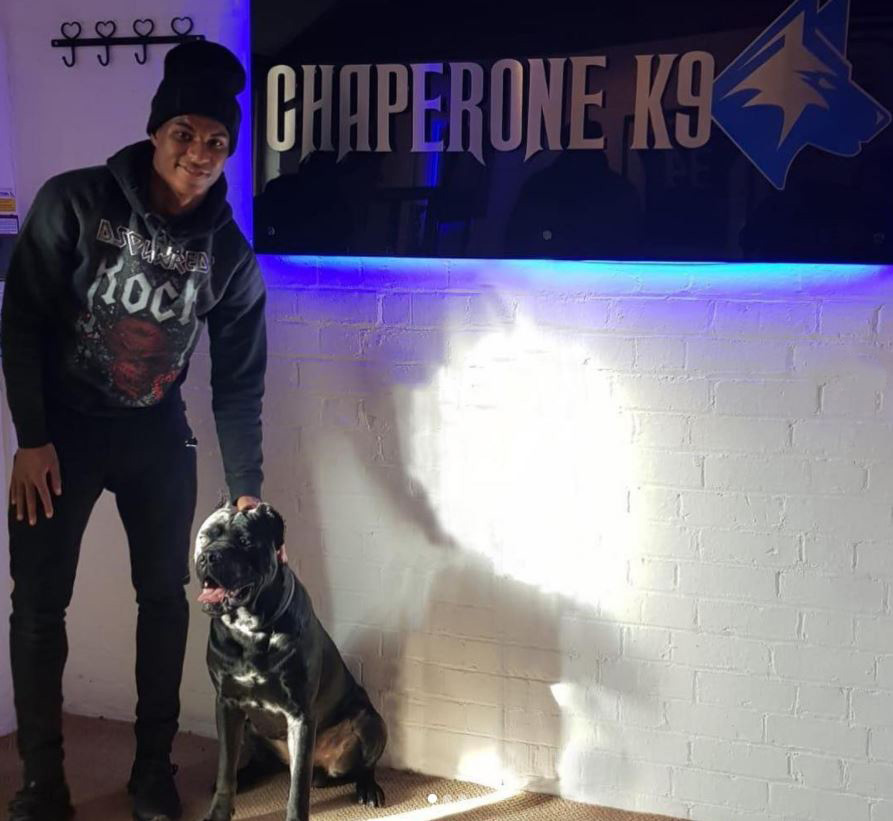 Marcus Rashford has also invested in a personal protection dog from Chaperone K9