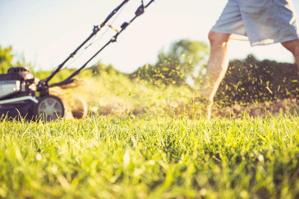  Gardeners love their jobs more than any other workers