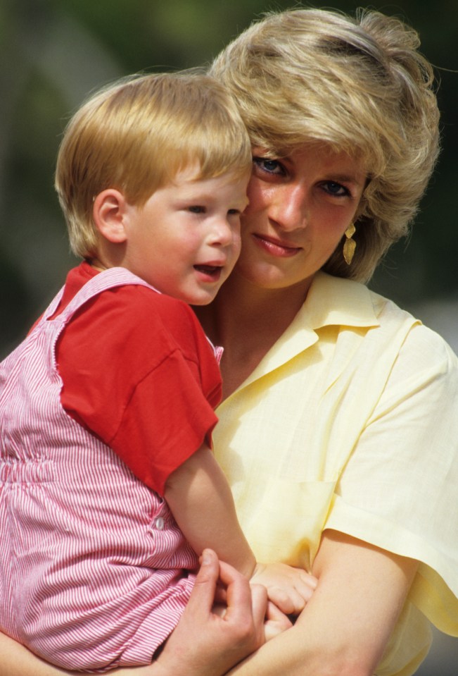 Prince Harry was very close to his mum Princess Diana