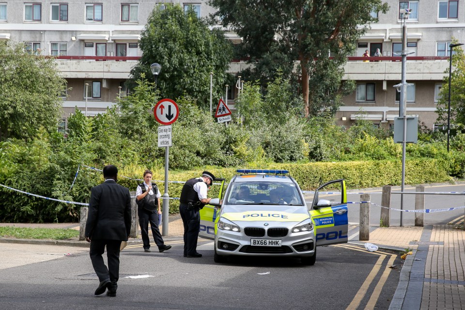  Perry Jordan Brammer, from Tottenham, died in hospital after being found with multiple stab wounds