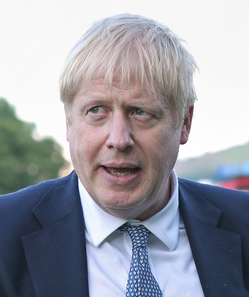  Boris Johnson is known to be keen to quell dissent in his party over Brexit