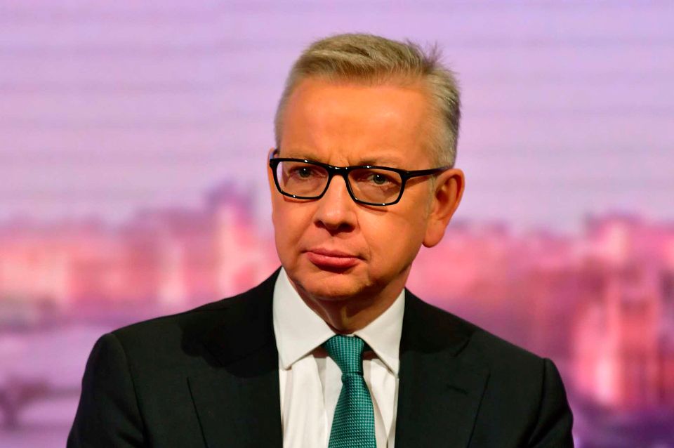  Michael Gove said the country would come together to get ready for Brexit