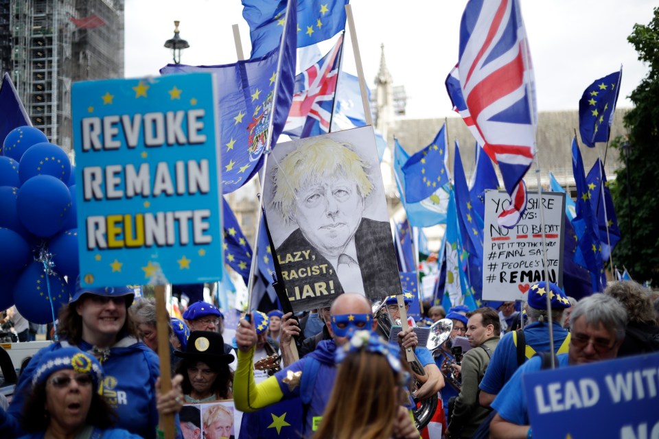  Remainer protesters outside Parliament yesterday