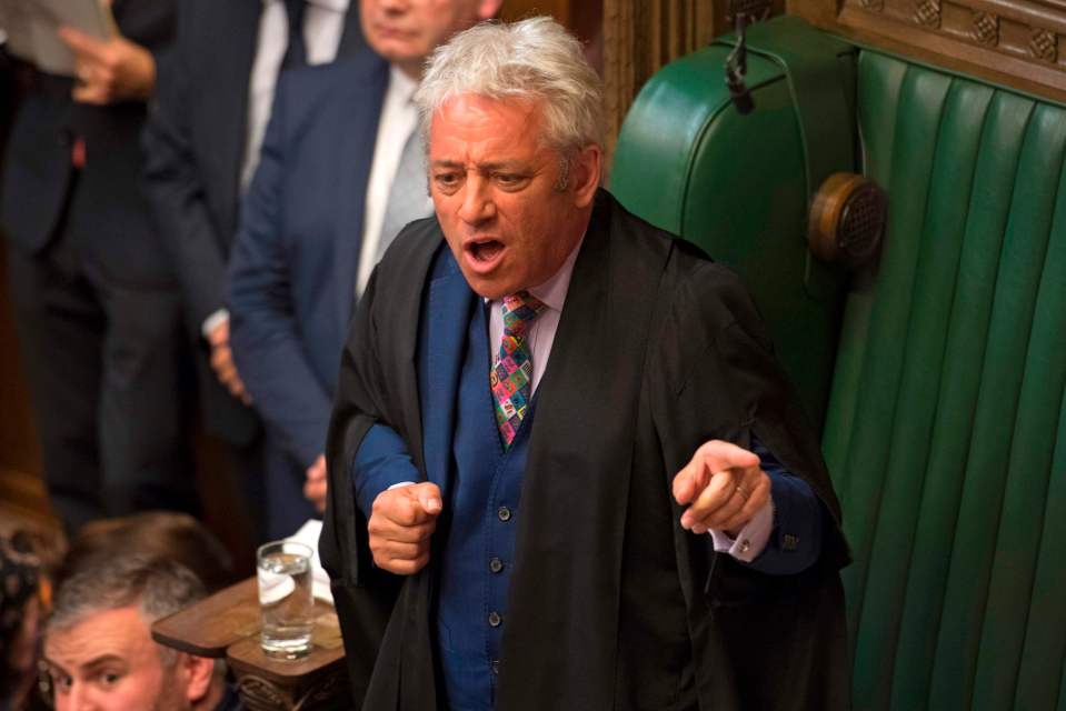  John Bercow got into a furious fight with Michael Gove this evening after the vote