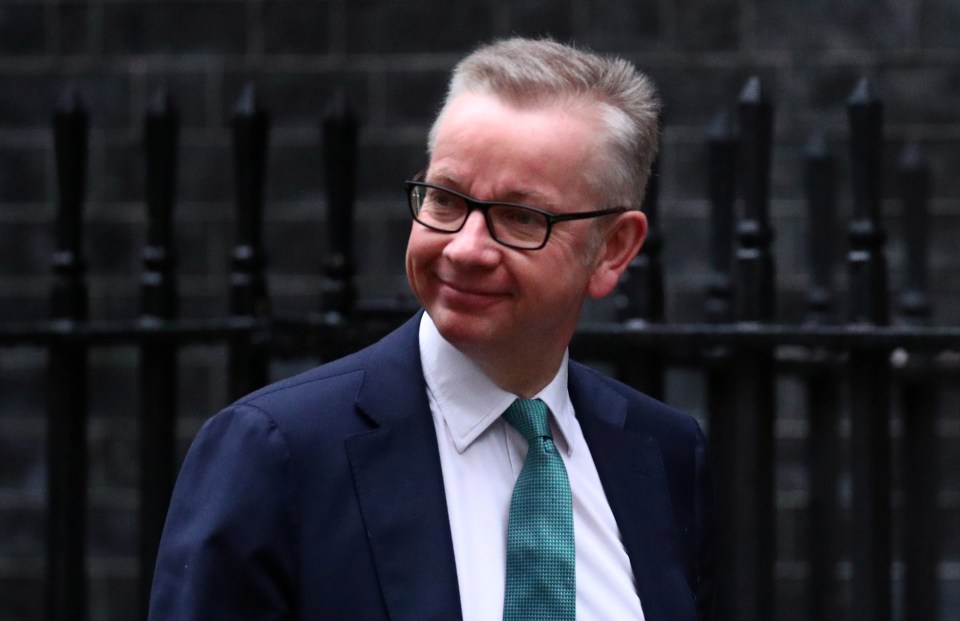  Michael Gove, pictured, had been close friends with David Cameron but they fell out over Brexit