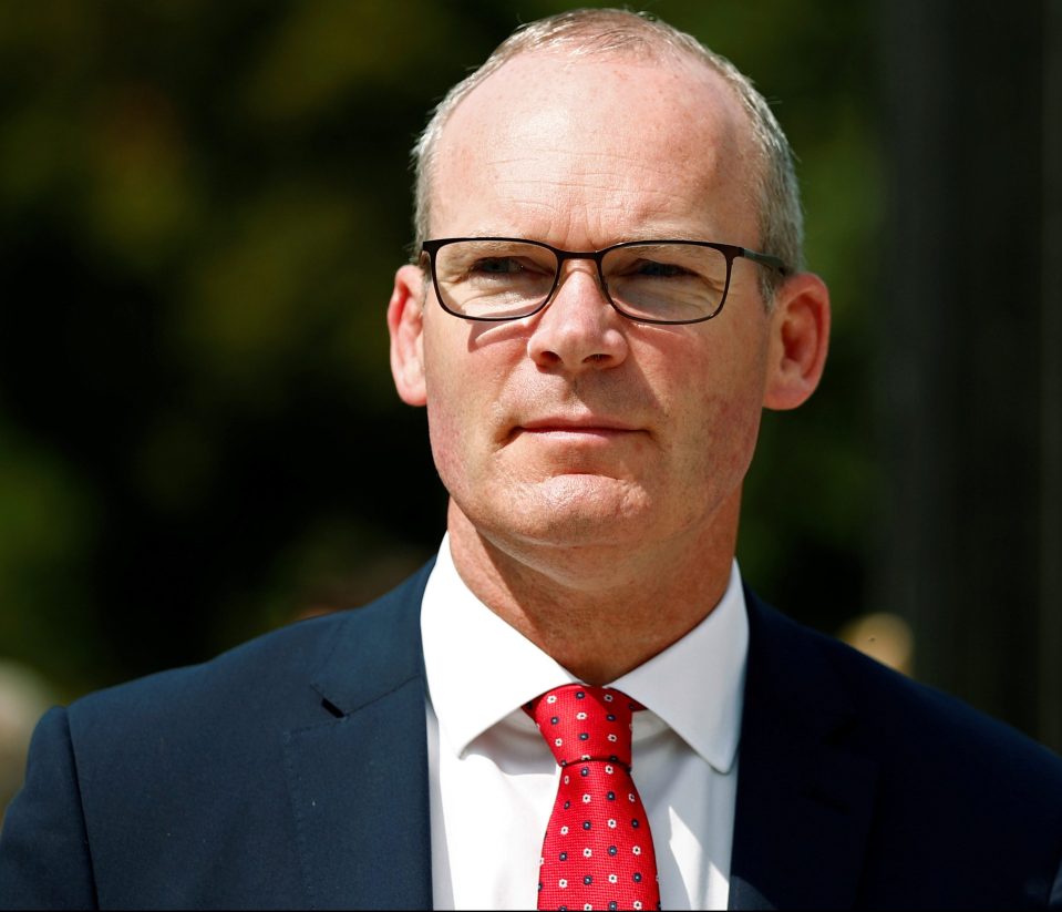  Irish Foreign Minister Simon Coveney said a deal COULD be possible this week