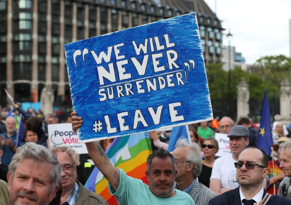  Protesters outside the Houses of Parliament in Westminster