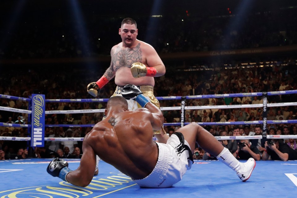  Andy Ruiz Jr flattened Anthony Joshua four times on the way to becoming undisputed heavyweight champ