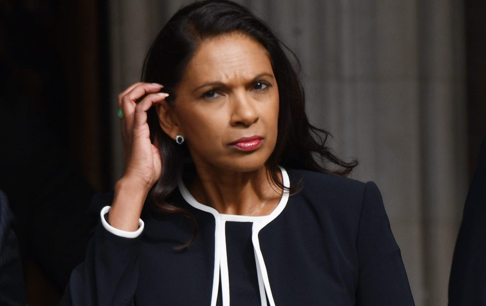  Gina Miller is a rich woman using her millions to meddle in politics while refusing to stand for election