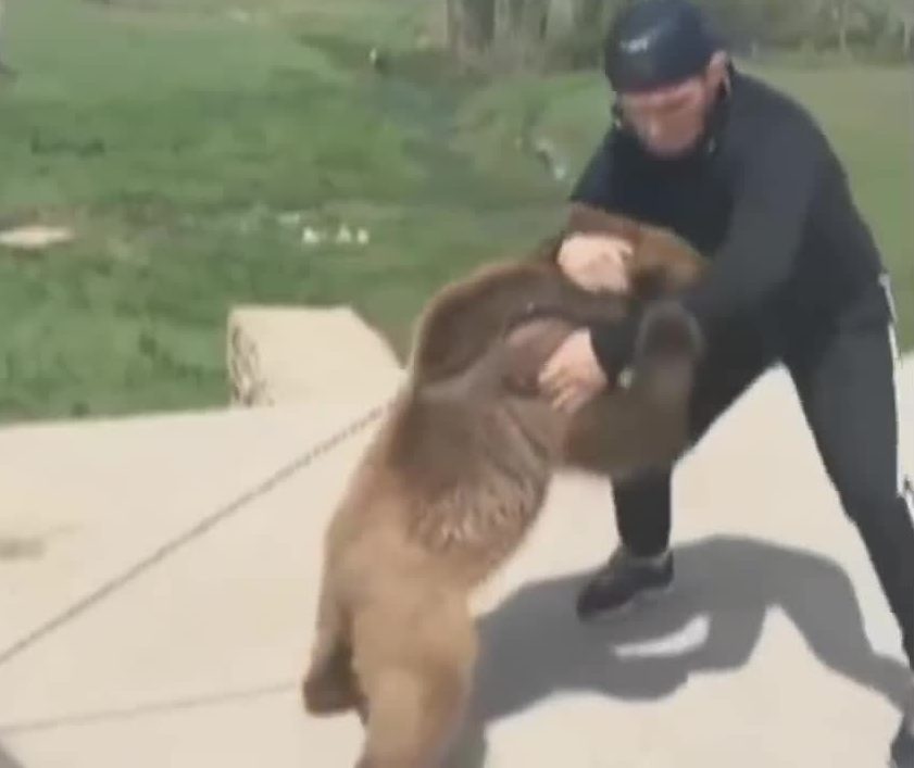 Khabib wrestled a bear again in 2015