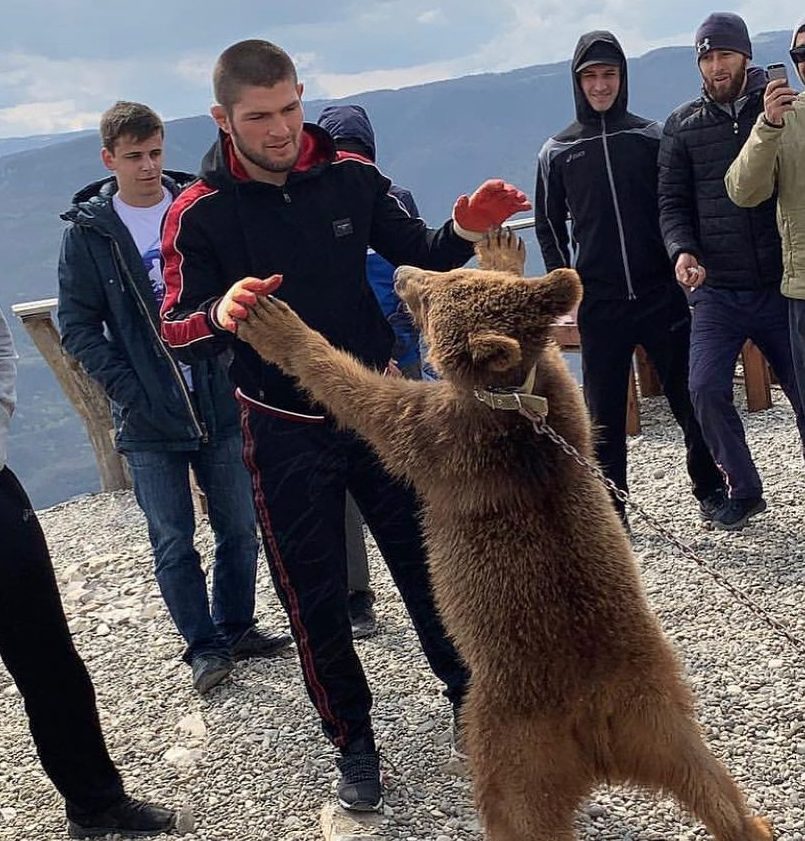 The bear Khabib wrestled in 2015 returned for a rematch three years later