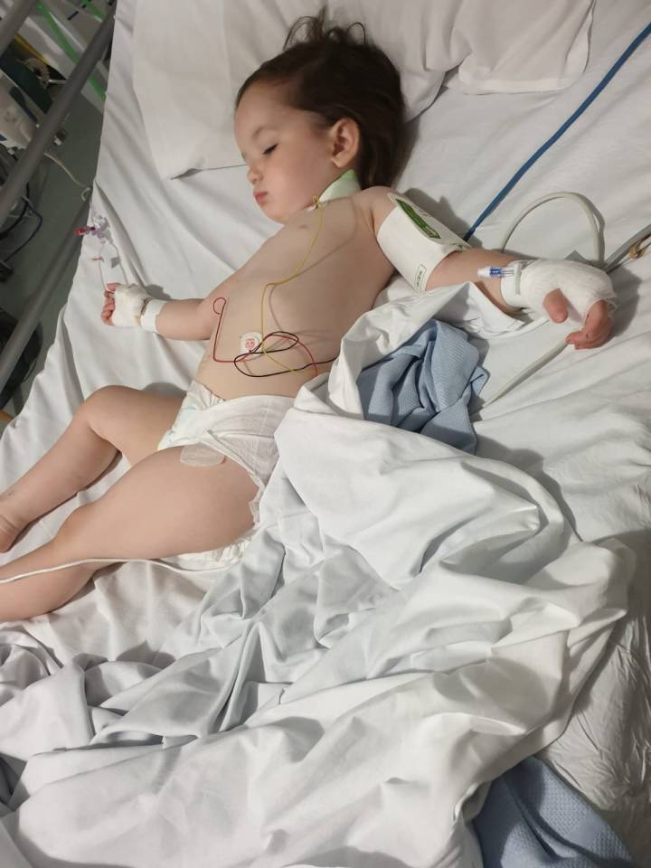  Little Elsie-Rose in Sheffield Children’s Hospital after her life-saving operation