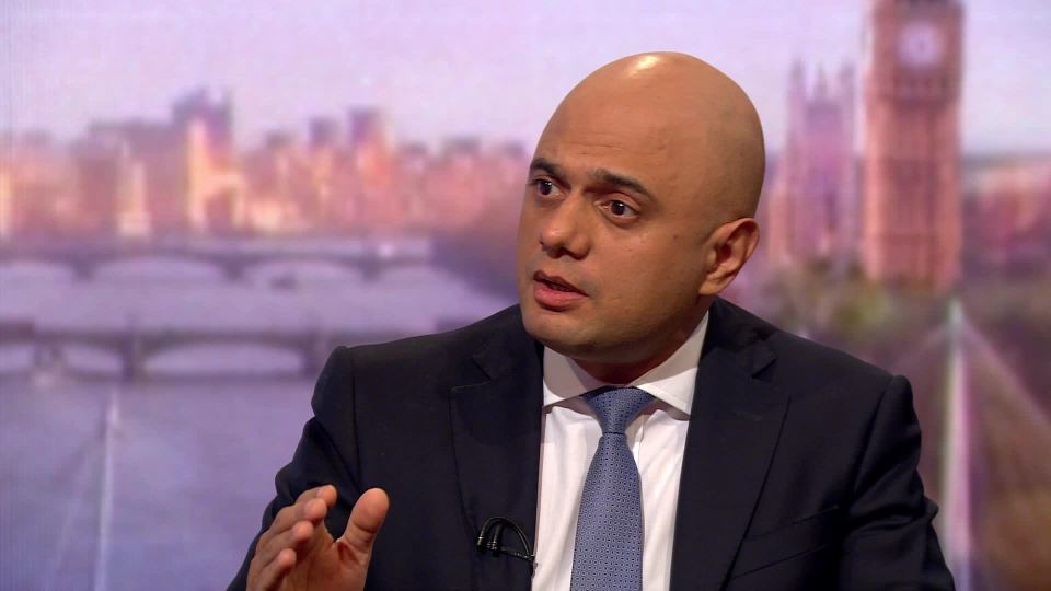  Sajid Javid said the Tories don't need an alliance with any one to win an election