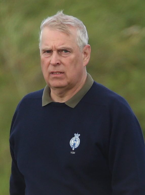  Prince Andrew has vigorously denied the allegations and has even disputed the notorious photo of him and Virginia