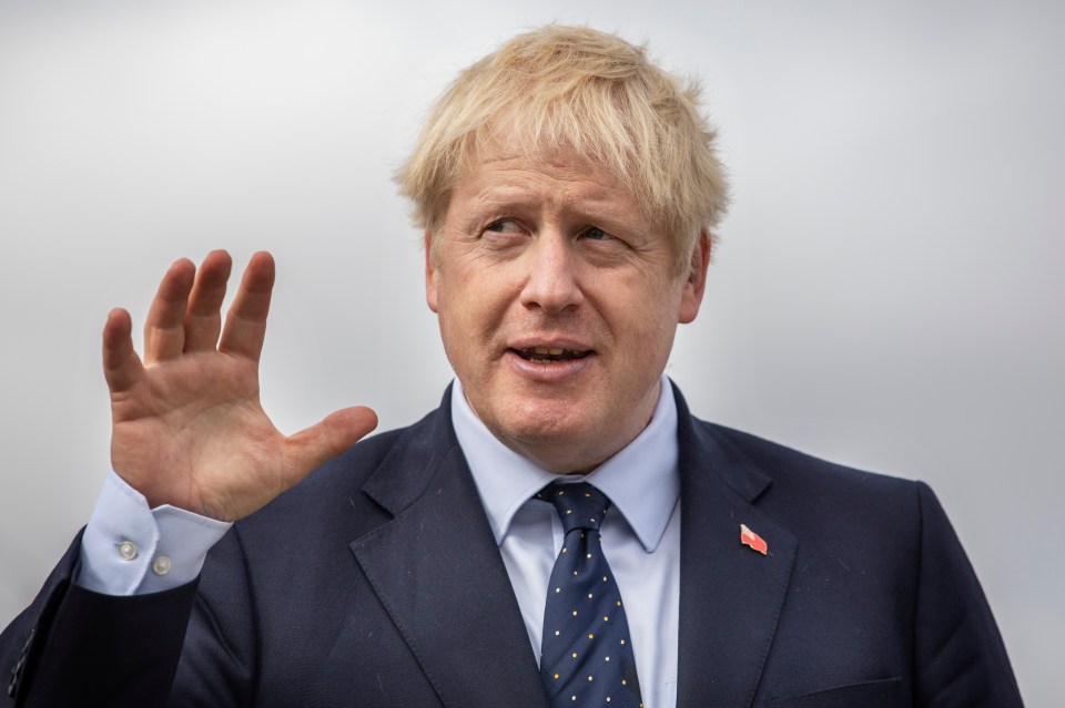  Boris Johnson believes Remainer MPs are plotting to pass laws to stop Brexit forever