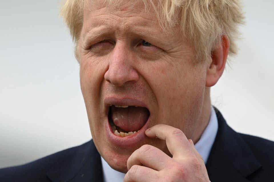  Expelled Tories are plotting to oust Boris Johnson by running a Remainer candidate in his seat