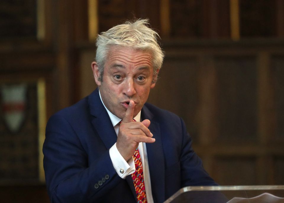  John Bercow has been slammed as “appalling” by senior officials who claim an “establishment stitch up” has shielded the Remainer Speaker from a bullying probe