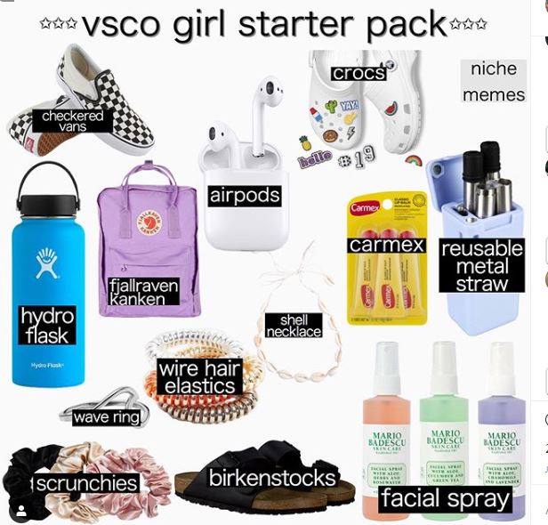  This meme explains what a VSCO girl is