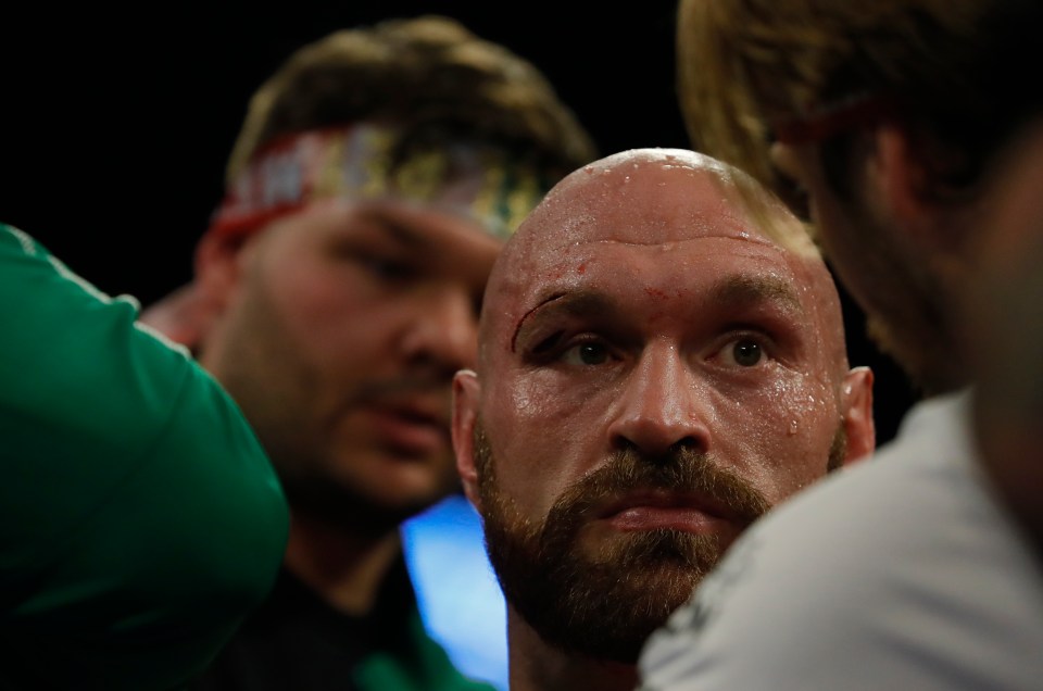 Wallin believes the fight would have been stopped if he was facing anyone else but Fury