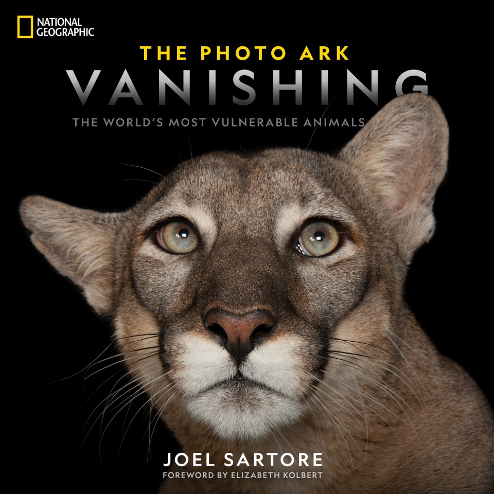  The images are from the October 2019 issue of National Geographic, and the book, The Photo Ark Vanishing: The World’s Most Vulnerable Animals