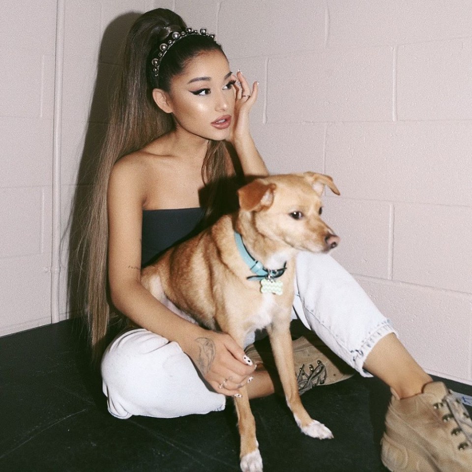  Ariana Grande flew two of her dogs out to Glasgow on their own private jet because they help to 'calm her nerves'